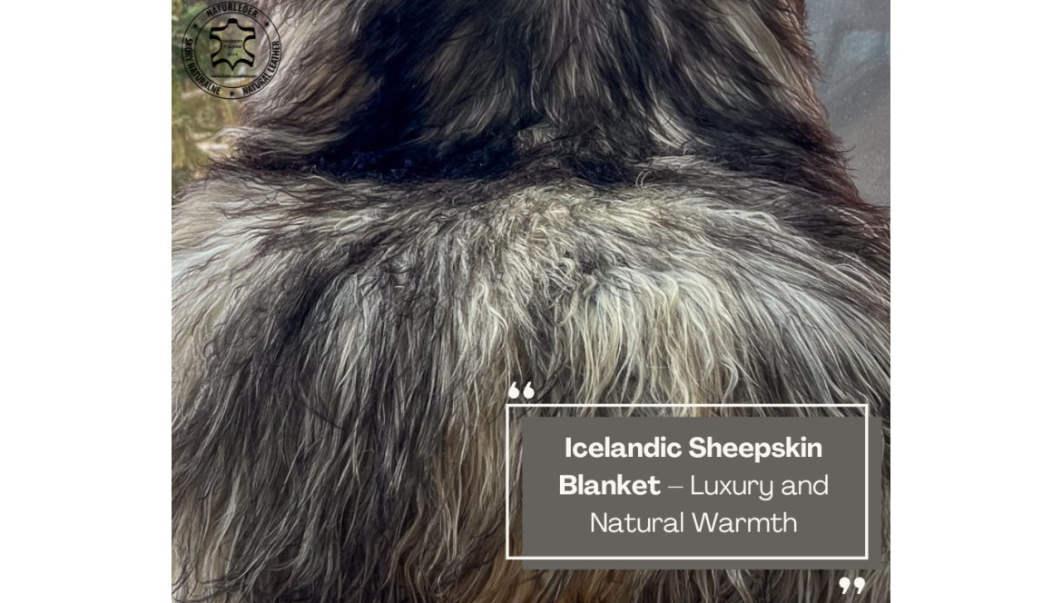 Icelandic Sheepskin Blanket – Luxury and Natural Warmth